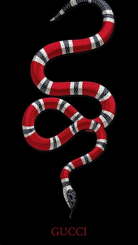 gucci snake species|gucci snake collection.